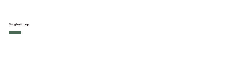 Vaughn Group logo